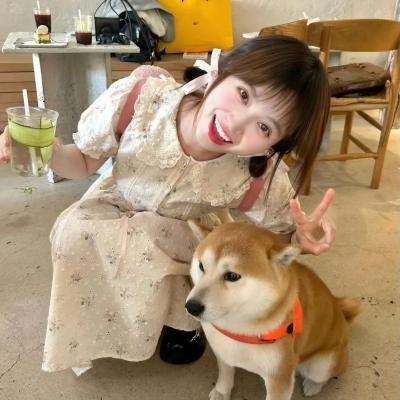 群青色之路海报